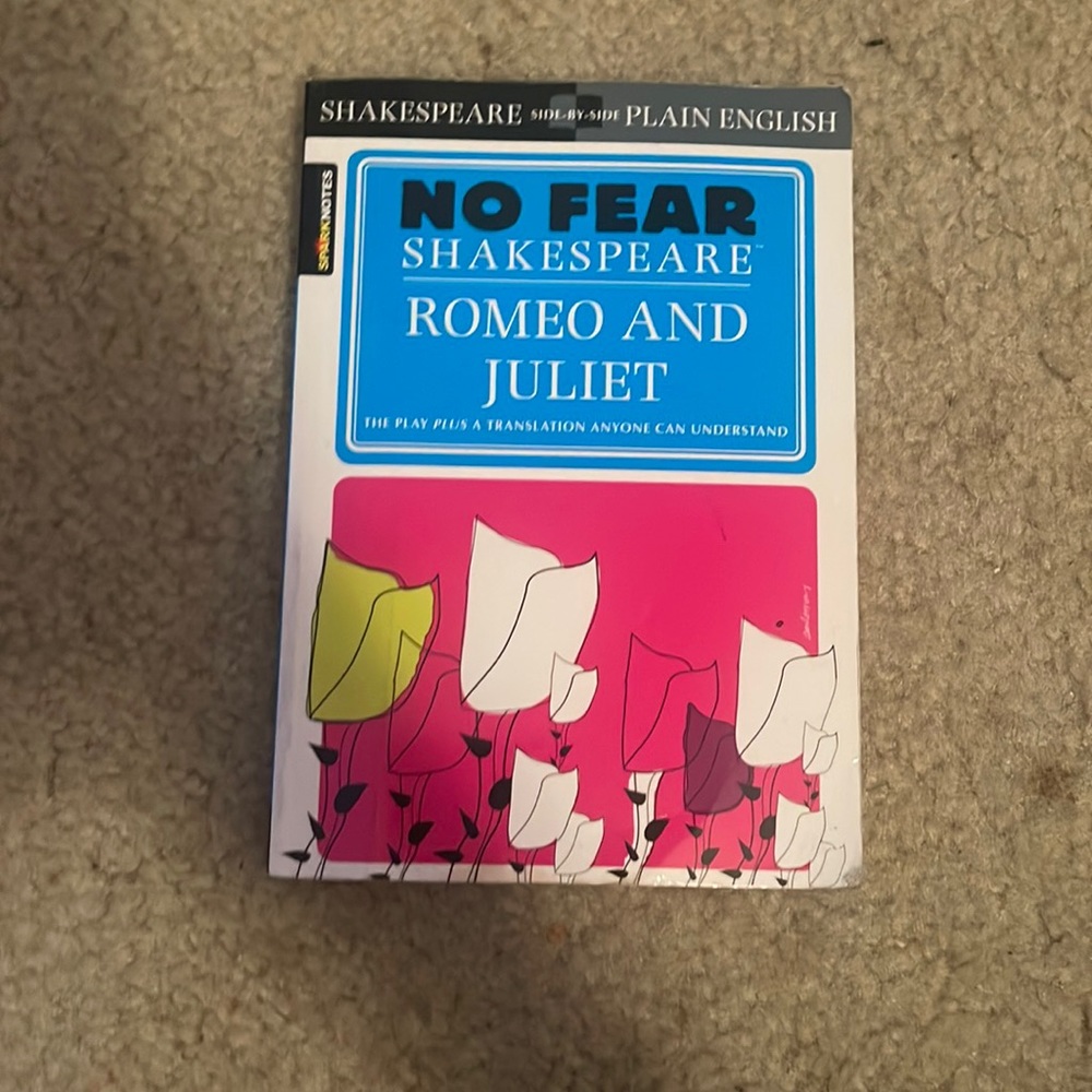 Romeo and Juliet book